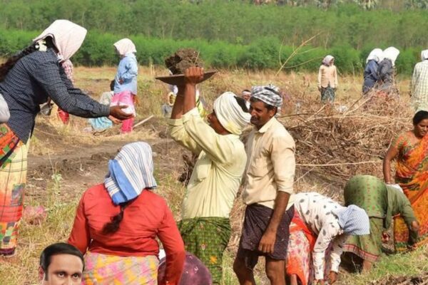Rural Employment Guarantee Scheme: The Tamil Nadu government should take steps to immediately provide Rs. 1251 crore to the people! - Doctor Anbumani Ramadoss.