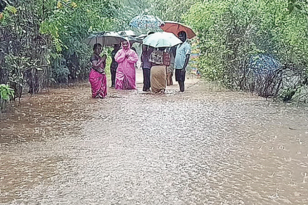 Cyclone Titva impact: Rainwater engulfs fields, homes - What is the situation in the Delta districts?