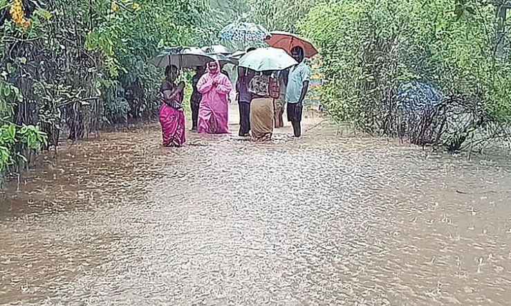 Cyclone Titva impact: Rainwater engulfs fields, homes - What is the situation in the Delta districts?